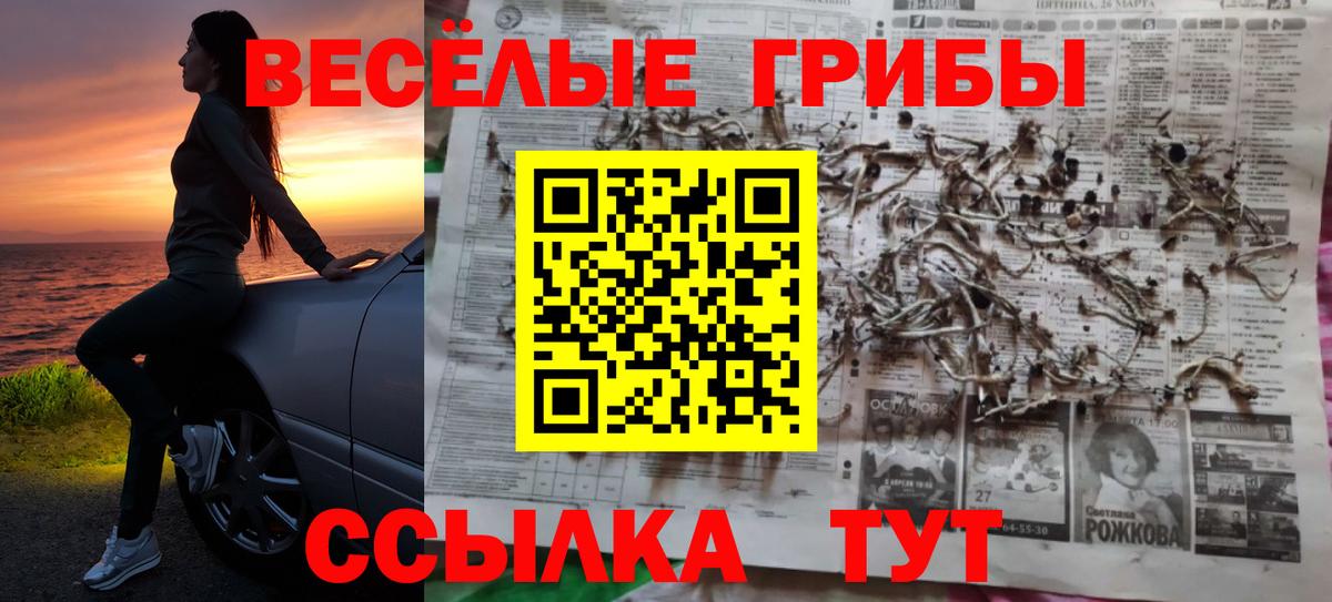 Назарово  Галлюциногенные грибы Magic Shrooms  Вход с VPN 